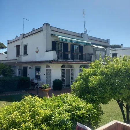 Max House
